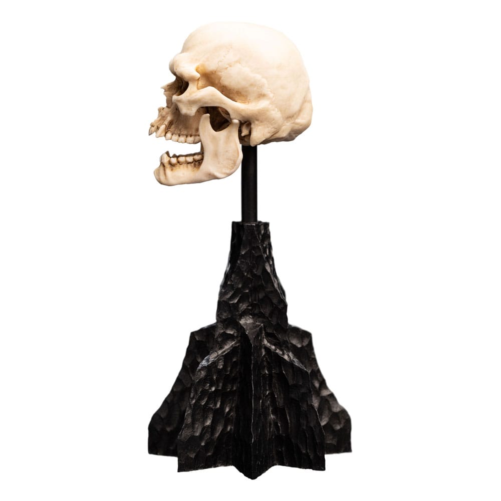 Le Seigneur des Anneaux statuette Skull of a Mordor Orc 14 cm