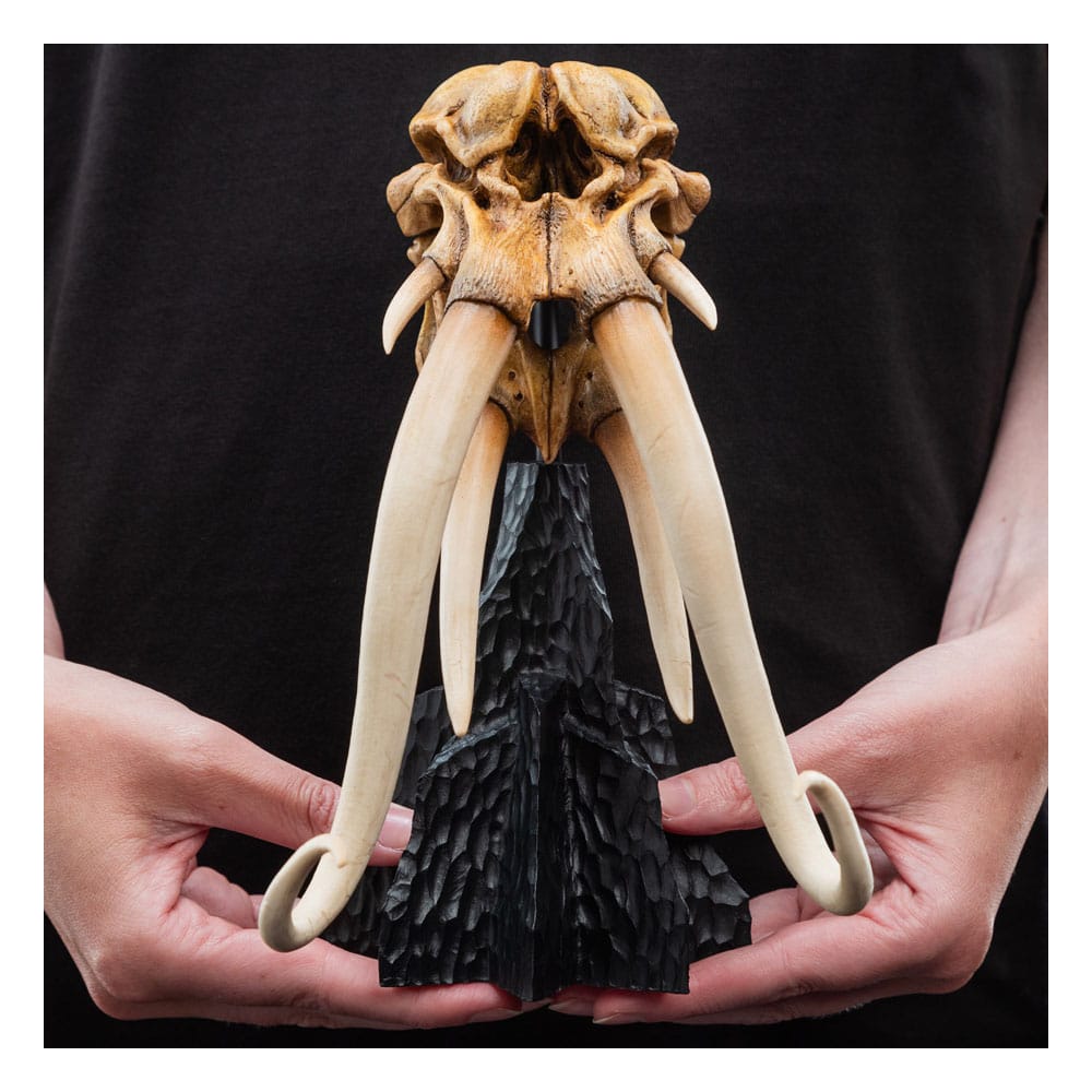 Le Seigneur des Anneaux statuette Skull of a Mumak 15 cm