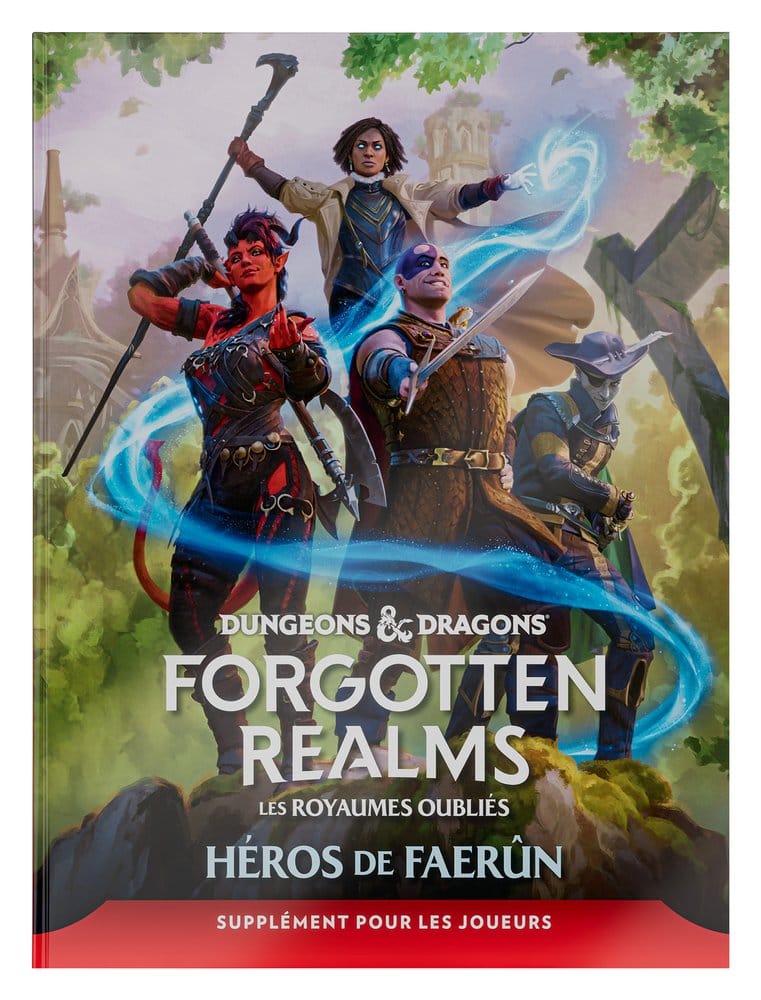 Dungeons & Dragons RPG Forgotten Realms: Héros de Faerun guide des joueurs *FRANCAIS*