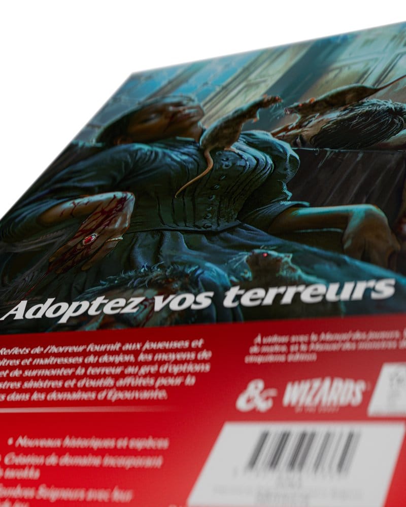 Dungeons & Dragons RPG Ravenloft: Les Reflets de l'Horreur livre *FRANÇAIS*