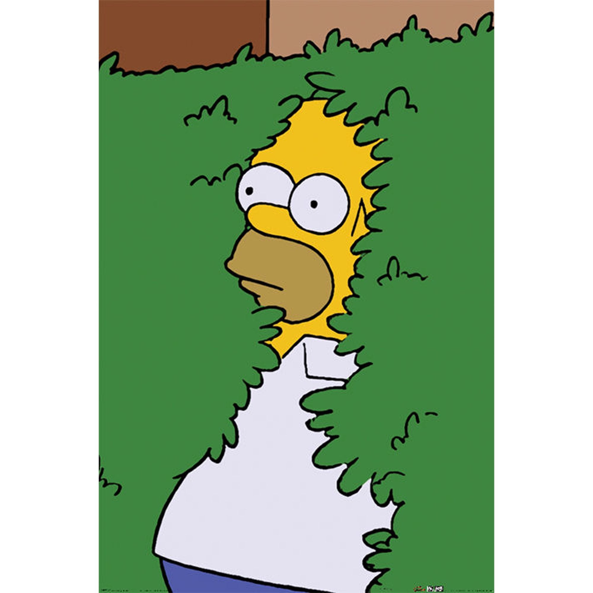 § The Simpsons - Homer dans un Buisson Maxi Poster - flash vidéo