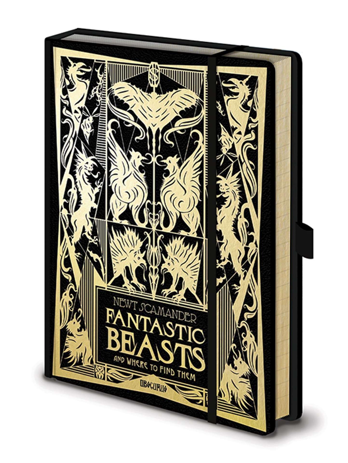 Fantastic Beasts: The Crimes Of Grindelwald - Fantastic Beasts A5 Premium Notebook - flash vidéo