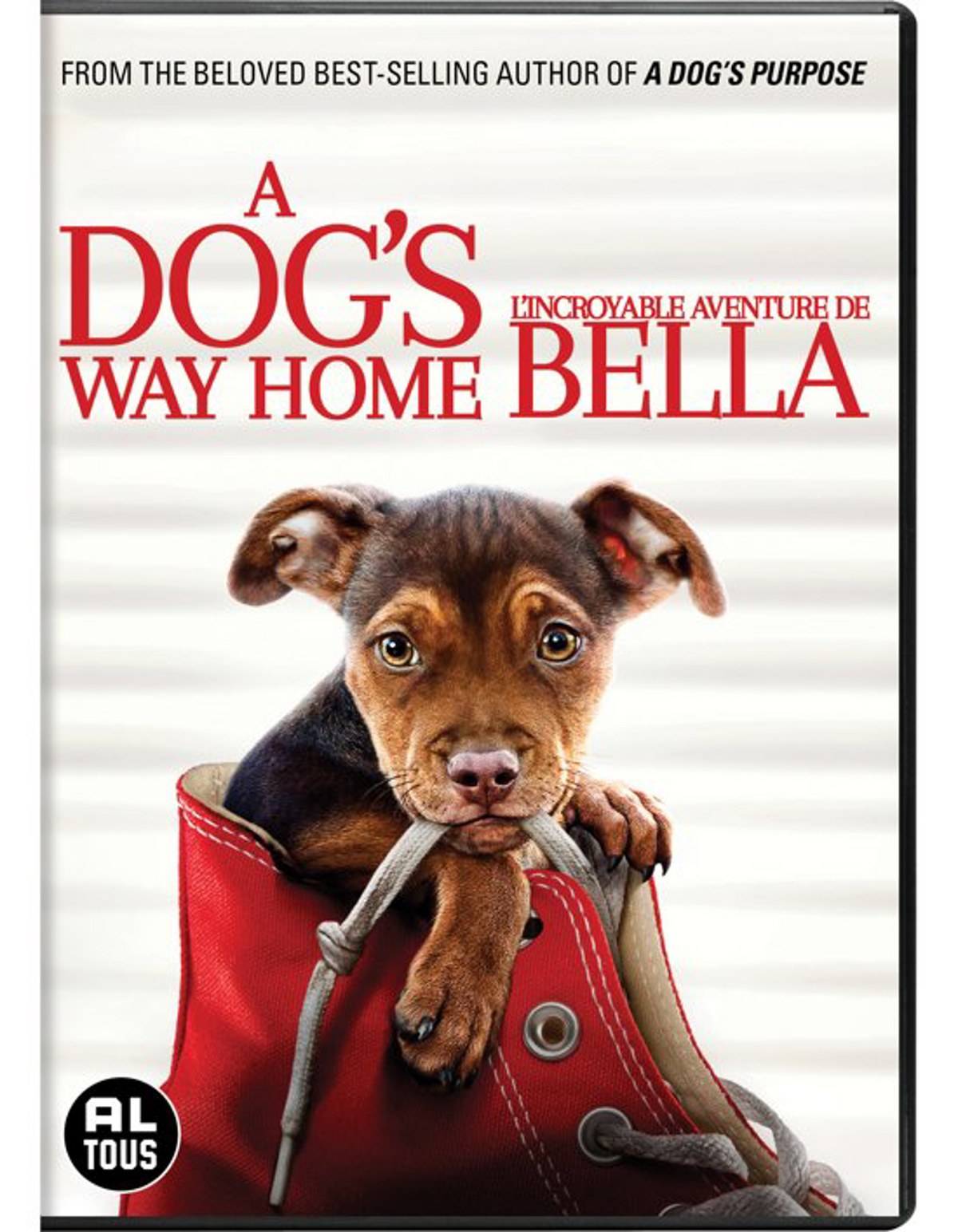 L'incroyable aventure de Bella