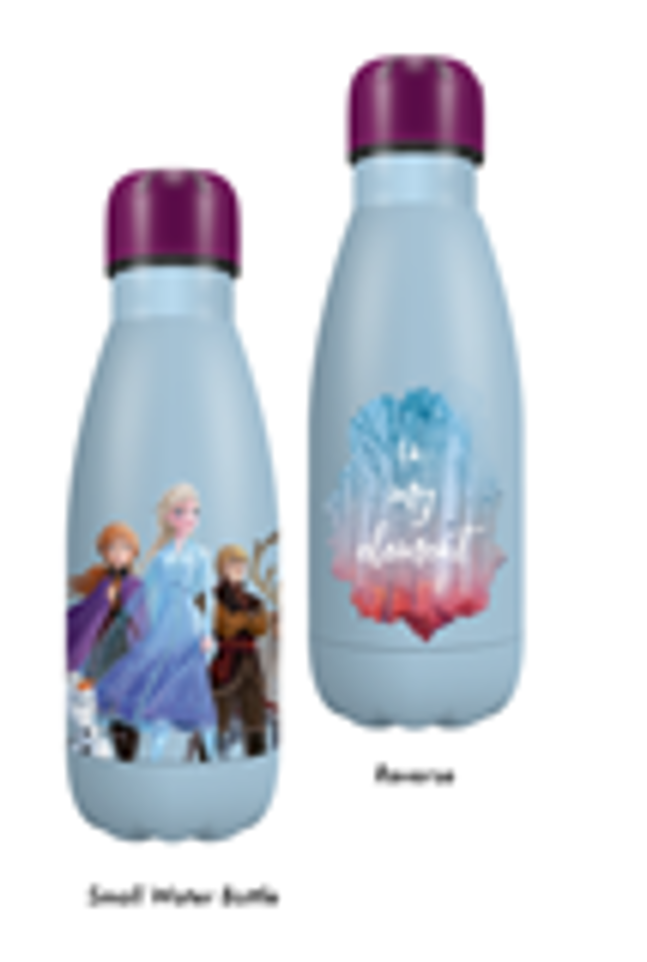 Disney - Frozen 2 In My Element Metal Water Bottle 260ml - flash vidéo