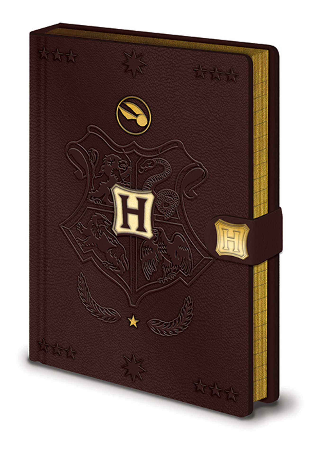 Harry Potter - Quidditch Cahier Premium A5 - flash vidéo