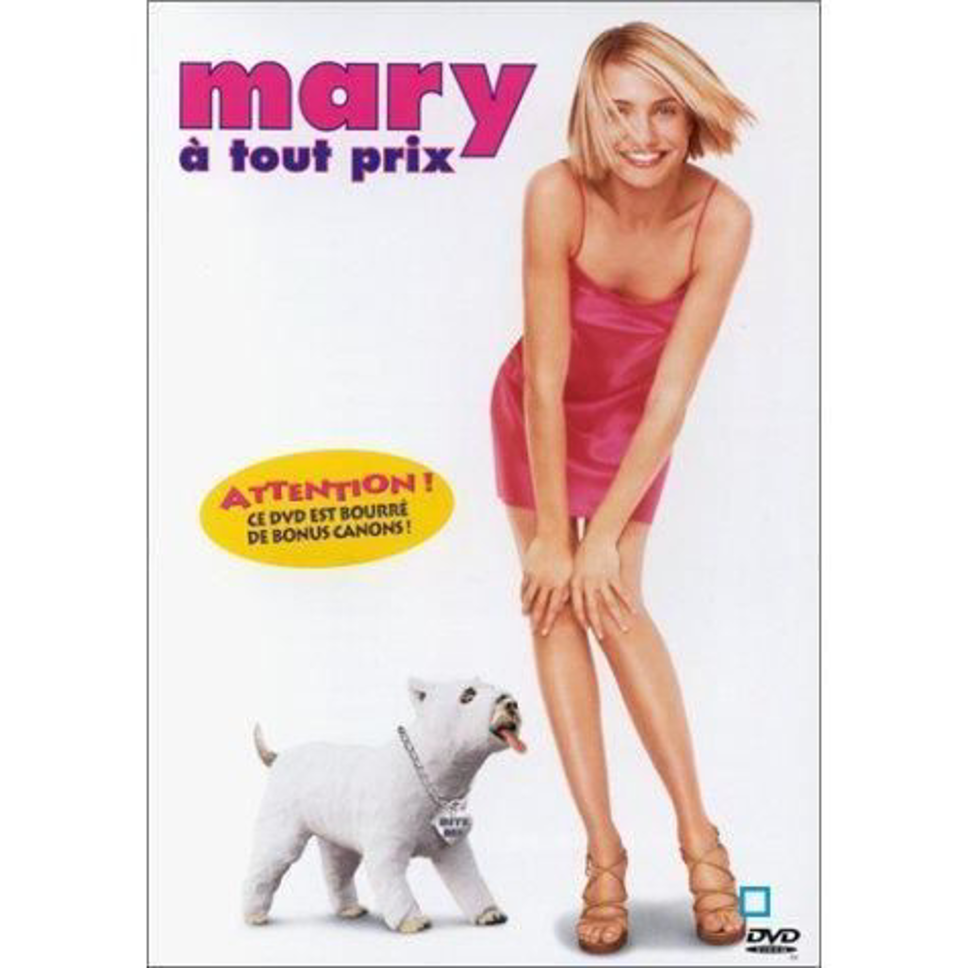 Mary a tout Prix