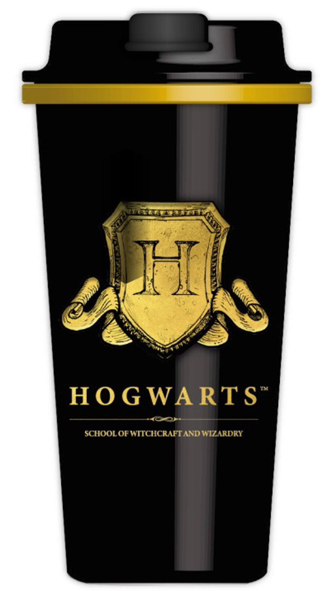 Harry Potter - Bouteille isotherme à couvercle amovible Sortilèges et charmes 450ml - flash vidéo
