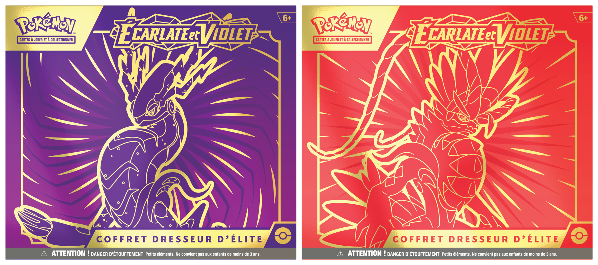 Pokémon JCC - Écarlate et Violet - Coffret Dresseur d'Élite Koraidon & Miraidon (1 Coffret aléatoire) EN - flash vidéo