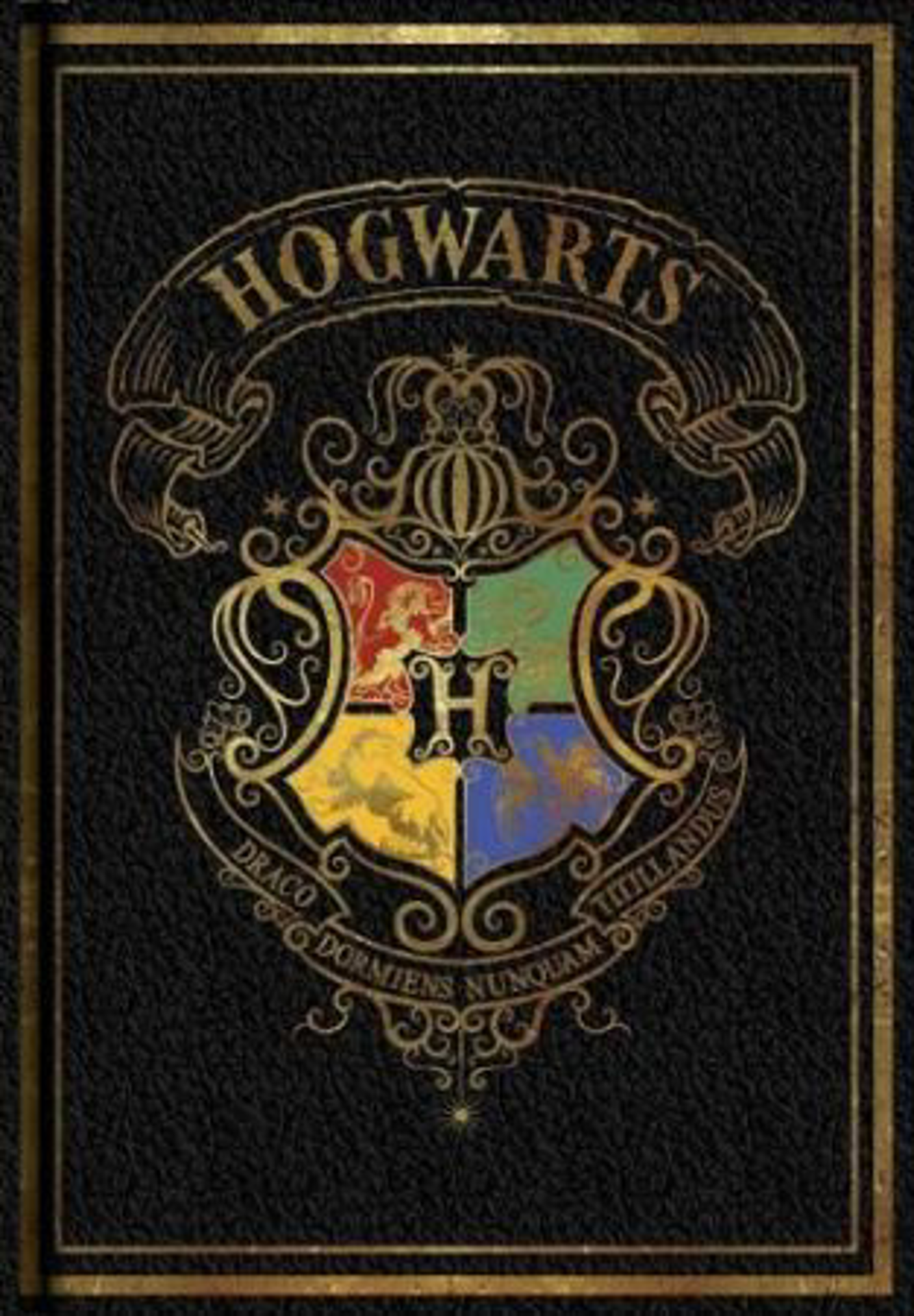 Harry Potter - Carnet A5 noir avec l'emblème de Poudlard - flash vidéo