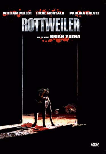 Rottweiler - flash vidéo