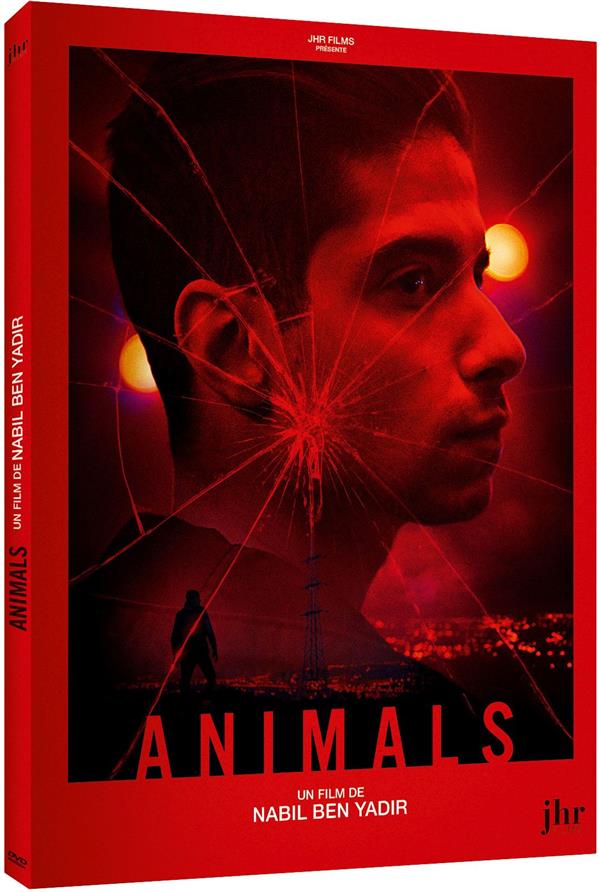 Animals [DVD]