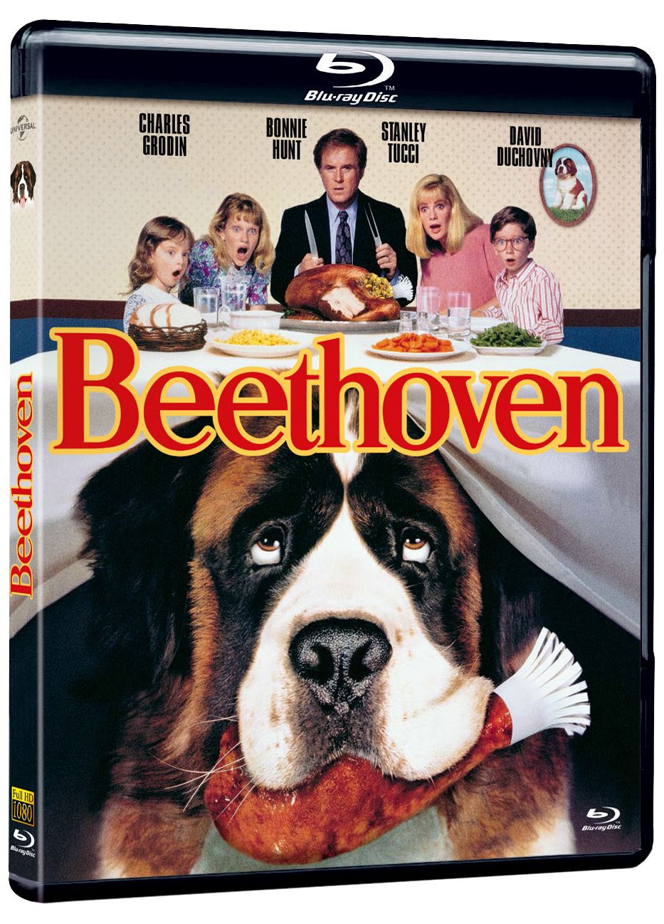 Beethoven - flash vidéo