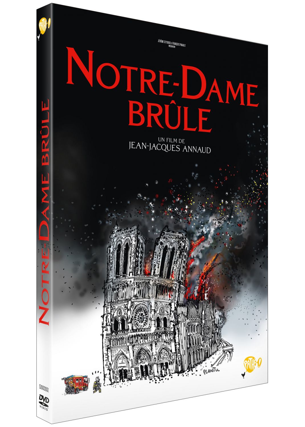 Notre-Dame brûle [DVD à la location]