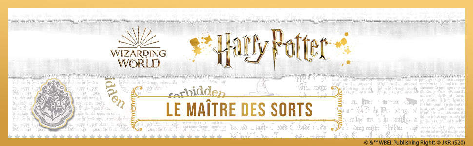 Harry Potter - Le maître des sorts - Le Jeu de Plateau - flash vidéo