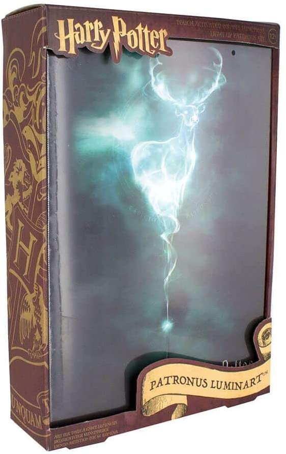 Harry Potter - Patronus Luminart - flash vidéo