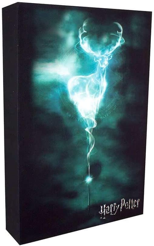 Harry Potter - Patronus Luminart - flash vidéo
