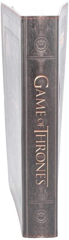 Game of Thrones - Winter is Coming Small Journal - flash vidéo