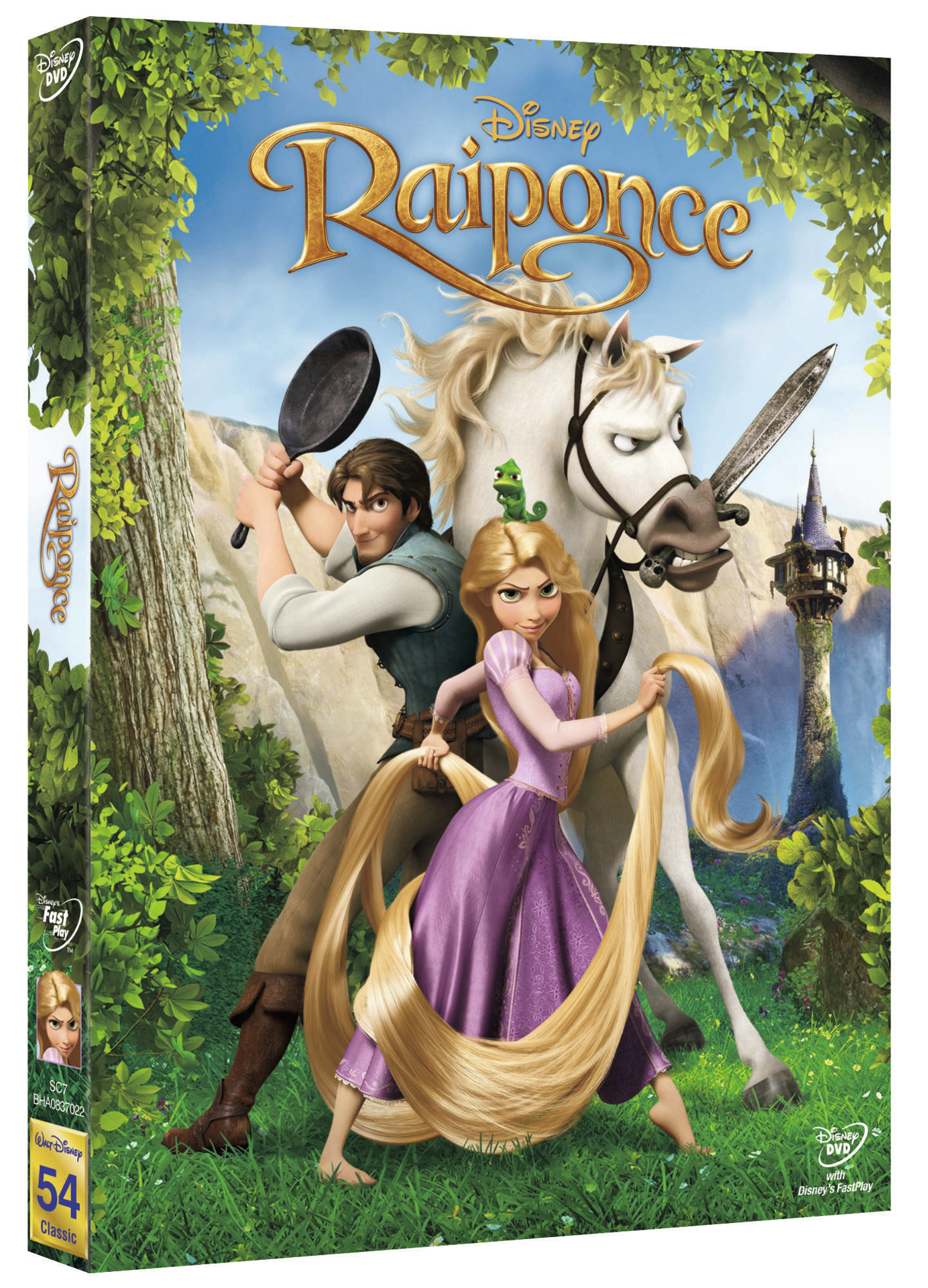 Raiponce (2010) - DVD - flash vidéo
