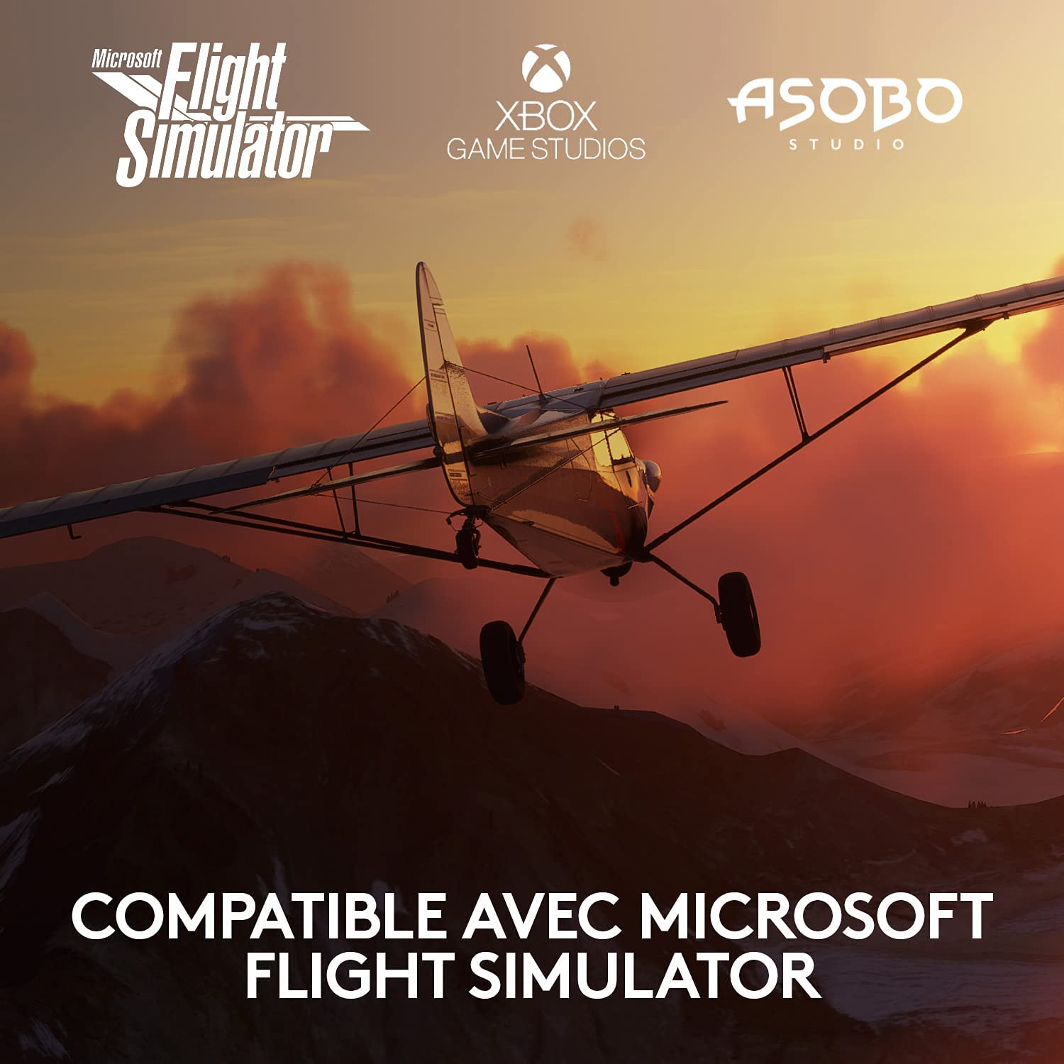 Logitech Système Pro Flight Yoke G Saitek - flash vidéo