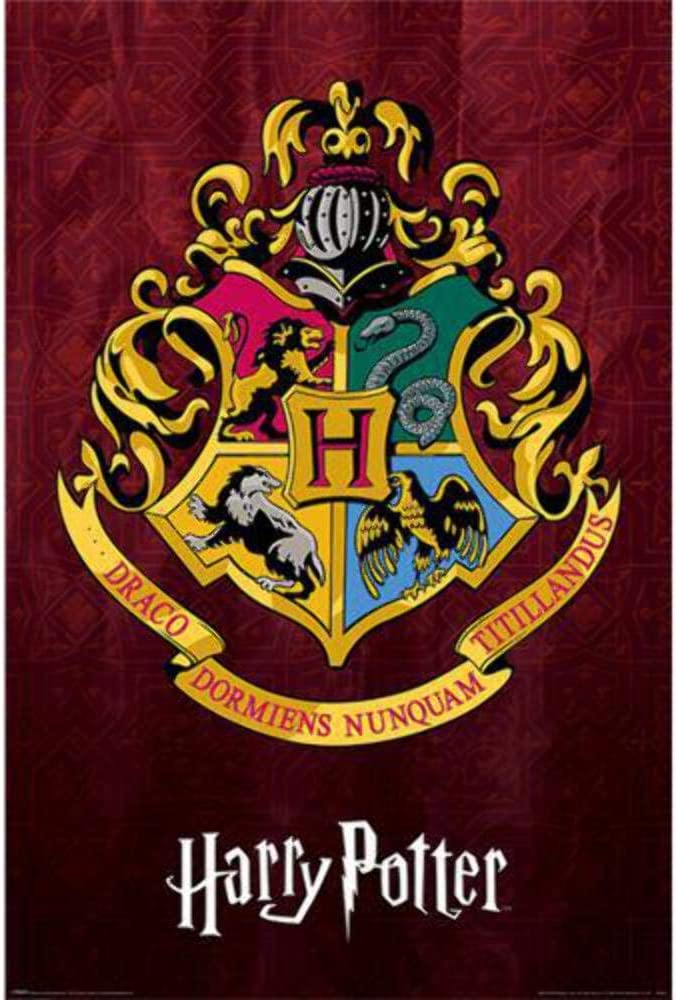 Harry Potter (Poudlard) - Maxi Poster