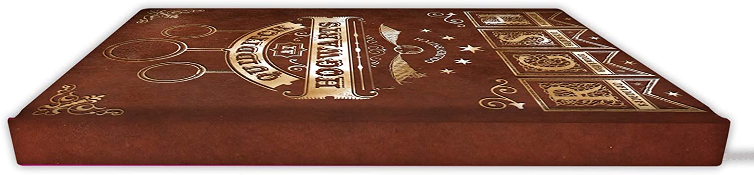 § Harry Potter - Quidditch A5 Notebook - flash vidéo