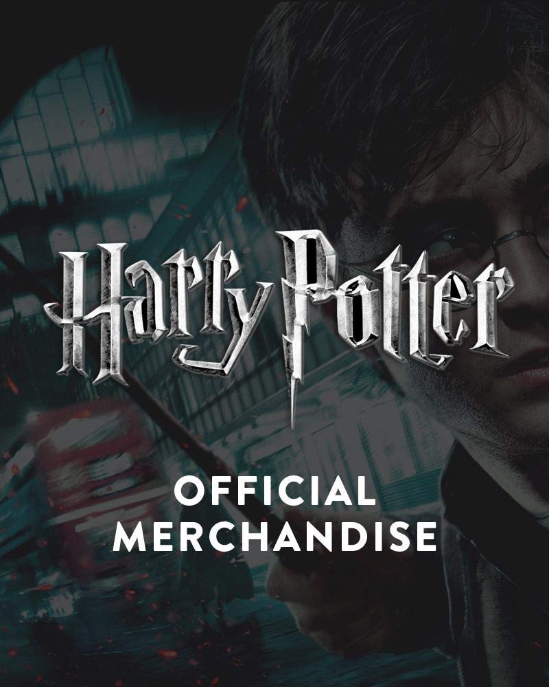 Harry Potter - Ensemble de pin's officiels de Fleury et Bott - flash vidéo