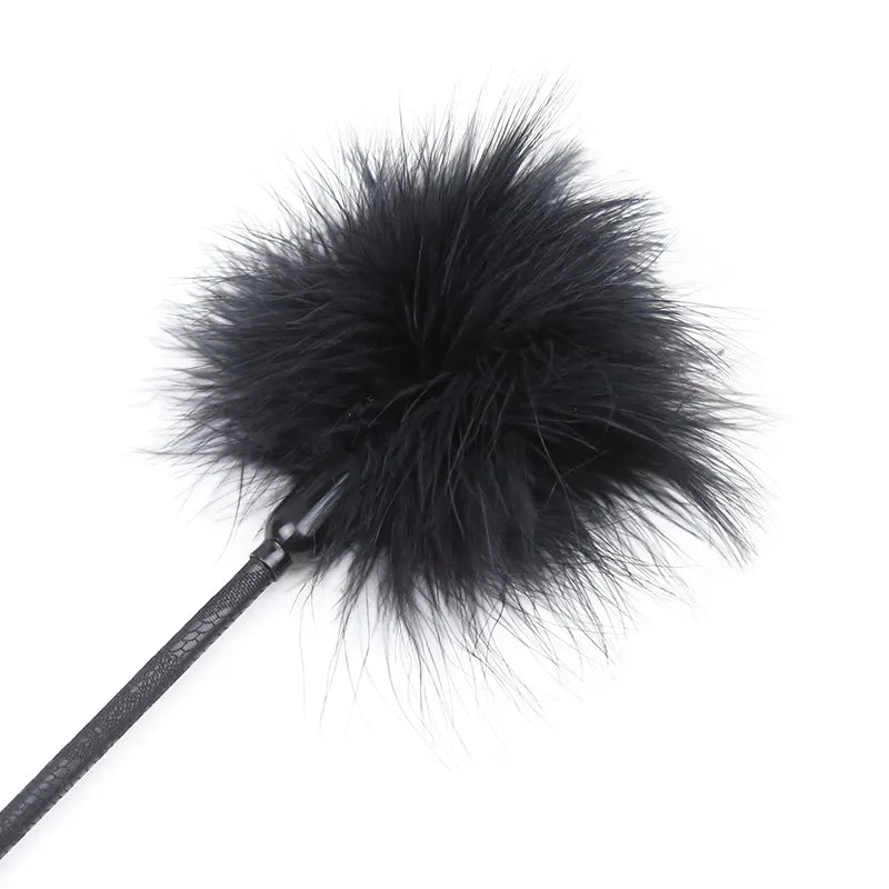 Cravache et plumeau noir - flash vidéo