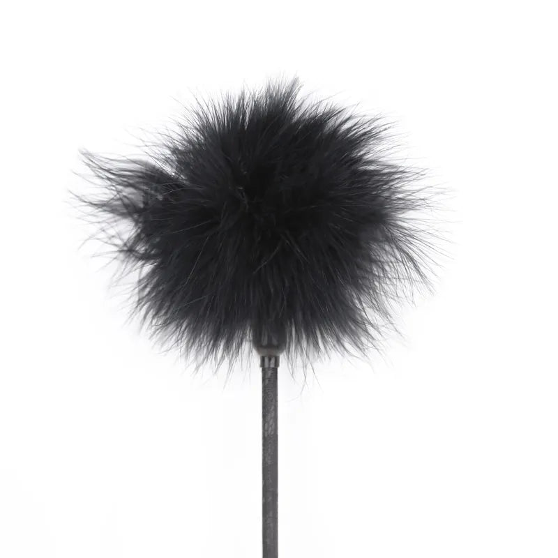 Cravache et plumeau noir - flash vidéo