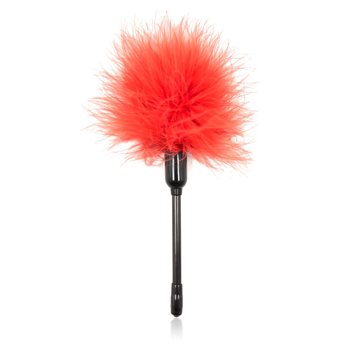 Plumeau court rouge - flash vidéo