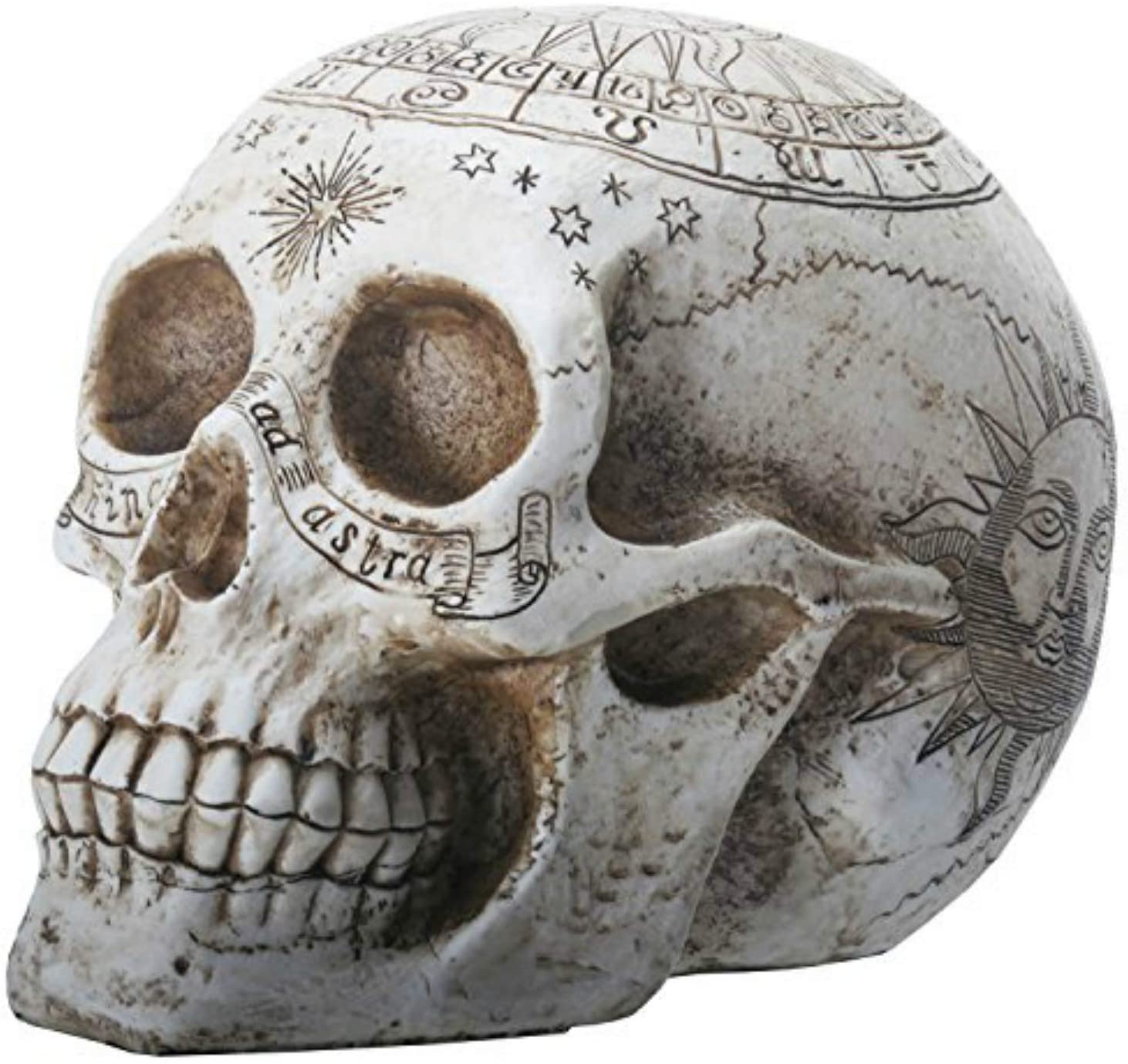 Astrological Skull - Crâne grâvé avec cercle zodiacale 20cm - flash vidéo