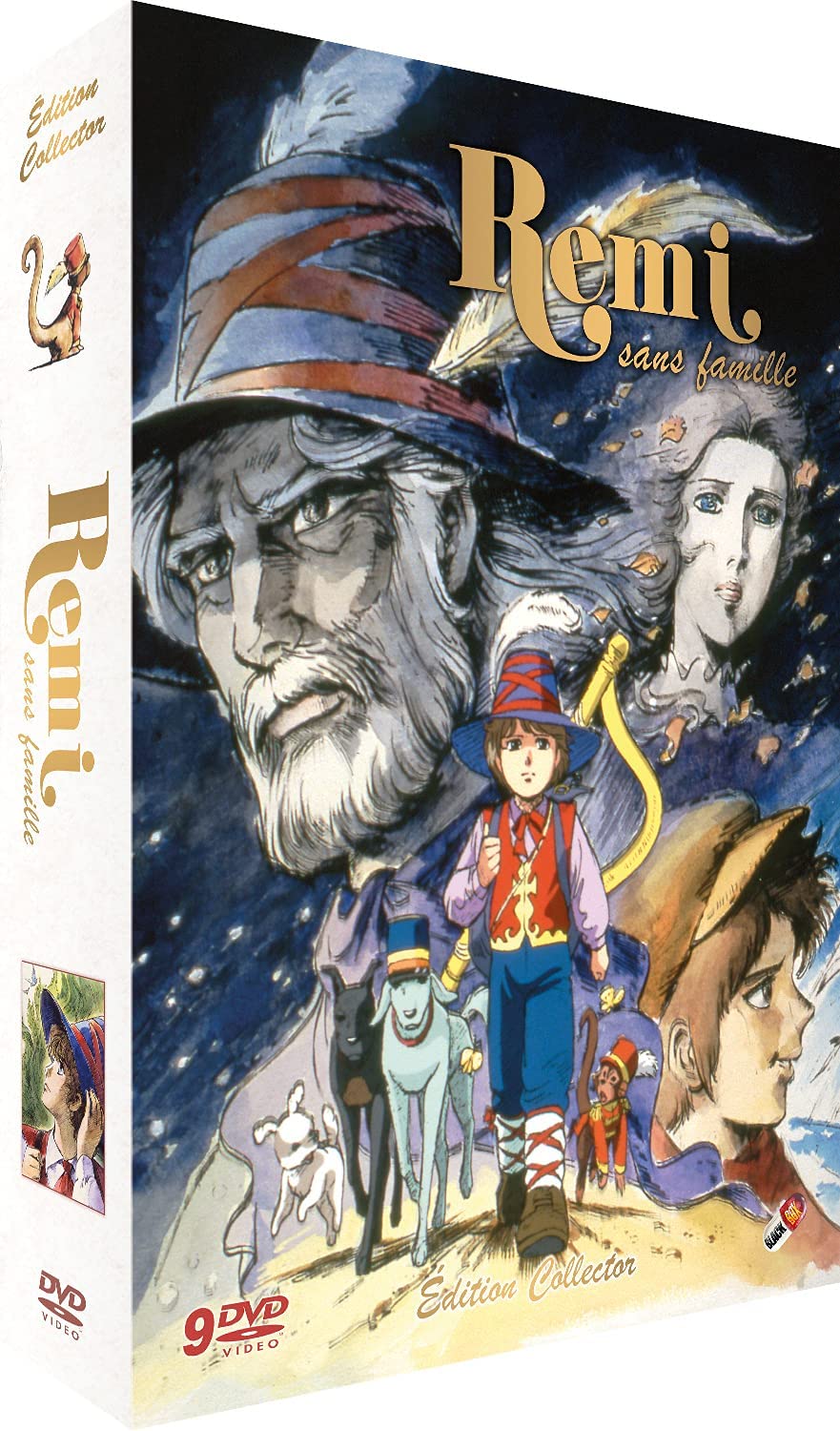 Rémi sans famille - Intégrale - Collector - Coffret DVD - flash vidéo