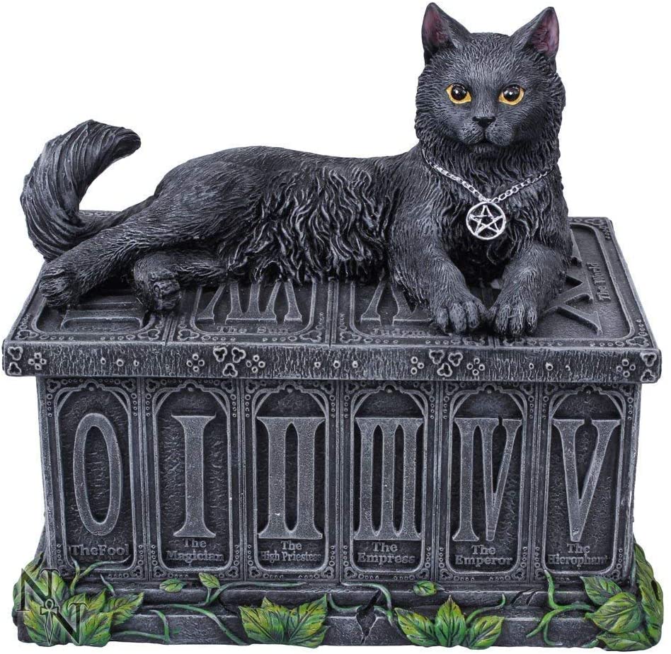 Fortune's Watcher - Boite de tarot avec familier chat 17cm - flash vidéo