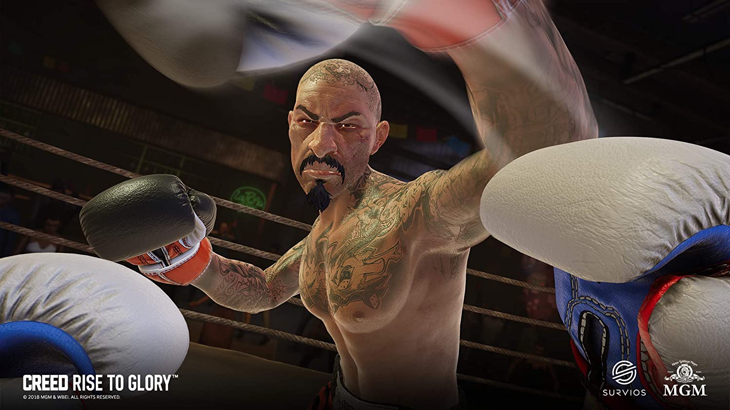 Creed : Rise to Glory - flash vidéo