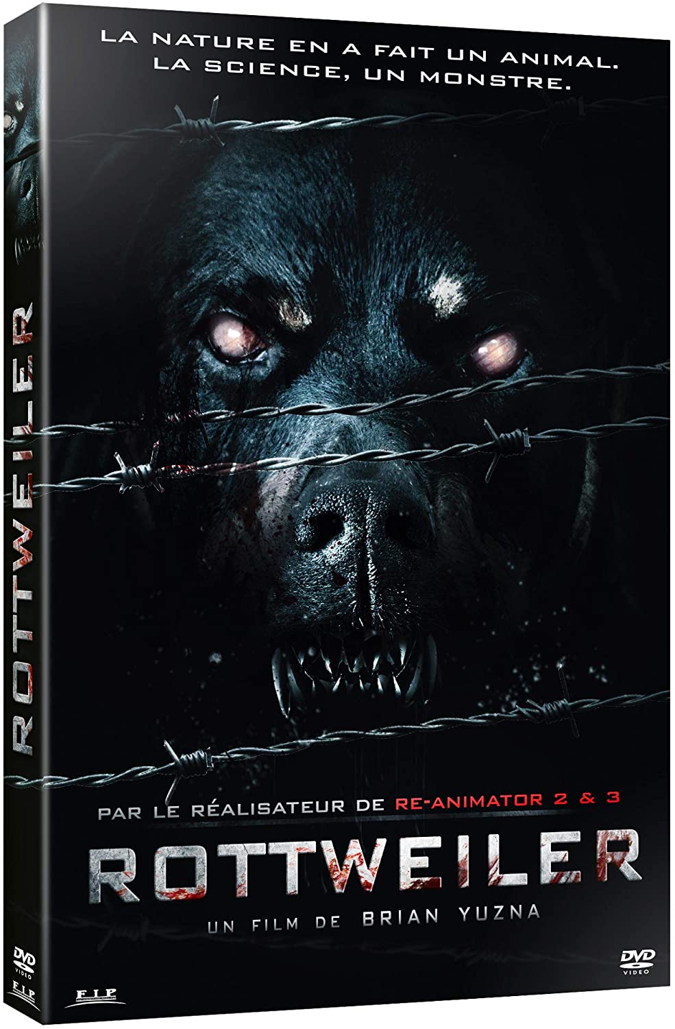 Rottweiler - flash vidéo
