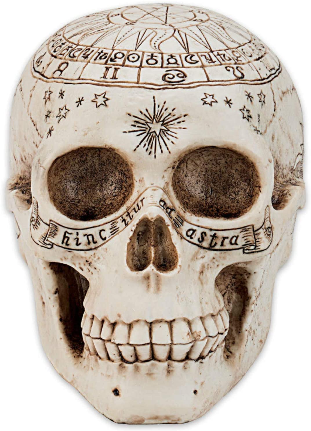 Astrological Skull - Crâne grâvé avec cercle zodiacale 20cm - flash vidéo