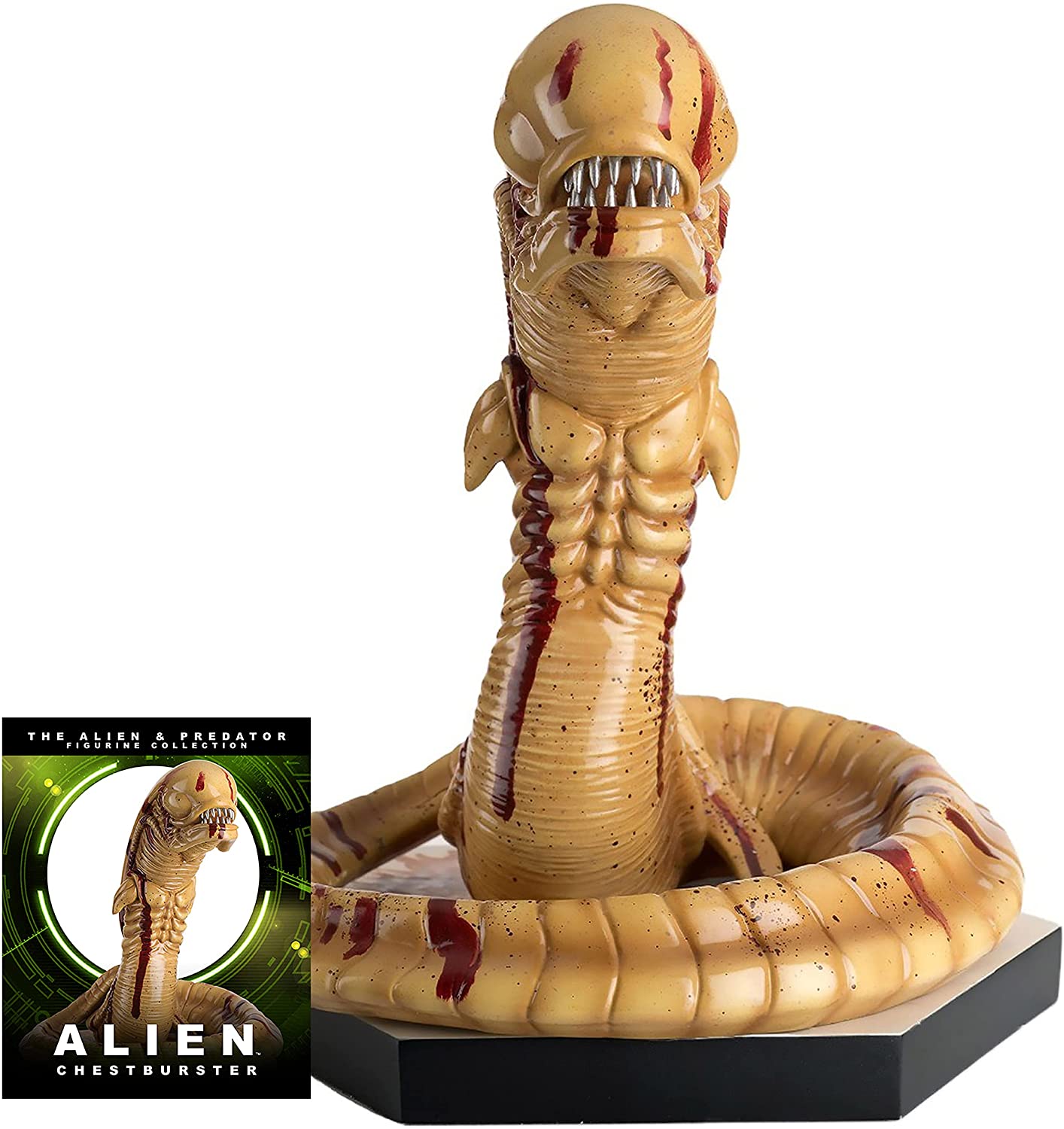 Alien & Predator - Méga statue du Chestburster - flash vidéo