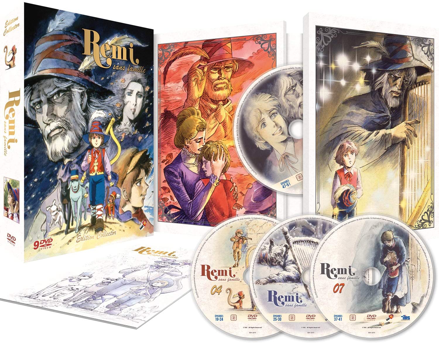 Rémi sans famille - Intégrale - Collector - Coffret DVD - flash vidéo
