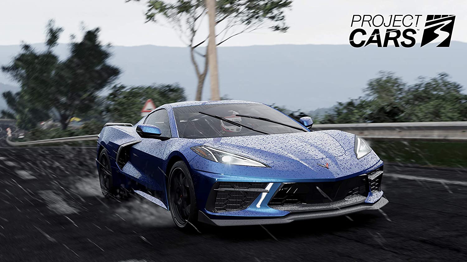 Project Cars 3 - flash vidéo