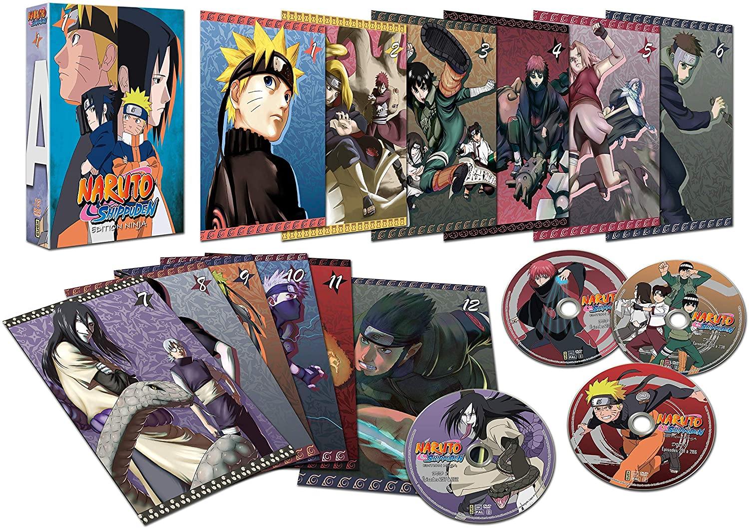 Naruto Shippuden - Edition Ninja Volume 1 - flash vidéo