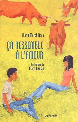 ça ressemble à l'amour - flash vidéo