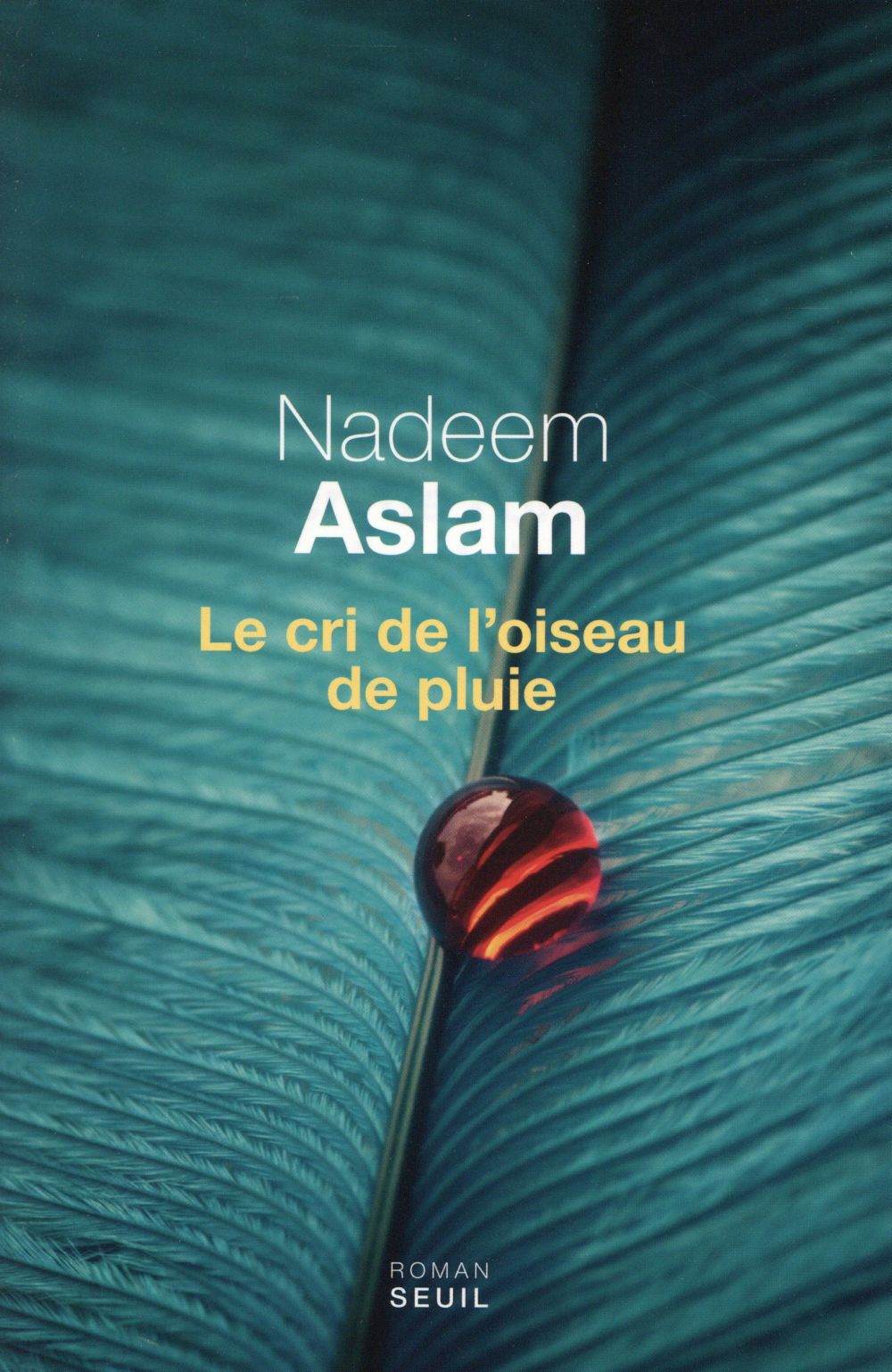 Le cri de l'oiseau de pluie - flash vidéo