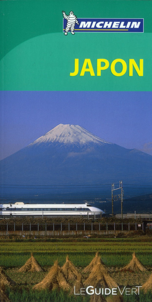 Le guide vert : Japon - flash vidéo