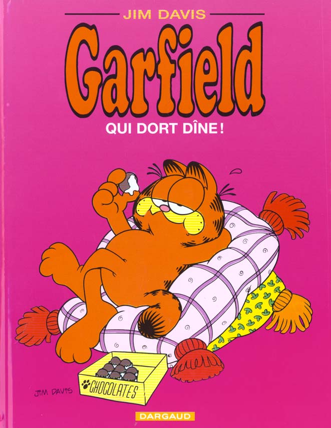 Garfield t.8 : qui dort dîne ! - flash vidéo