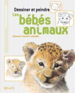 Bebes animaux - flash vidéo