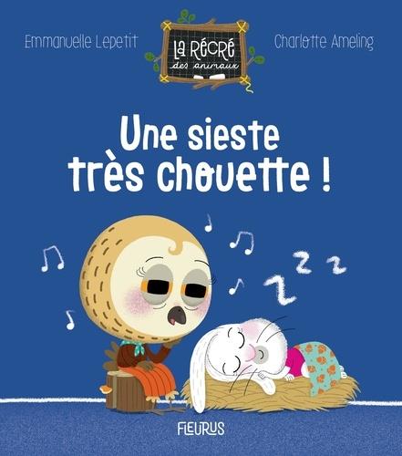 Une sieste très chouette ! - flash vidéo