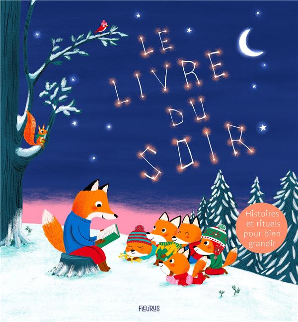 Le livre du soir - flash vidéo