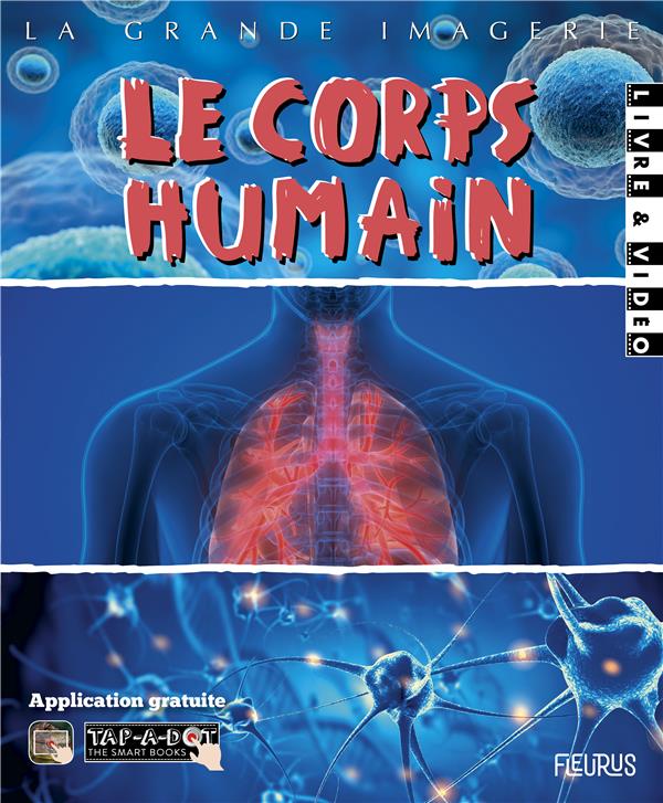 Le corps humain - flash vidéo