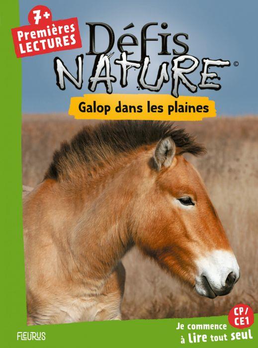 Galop dans les plaines - flash vidéo