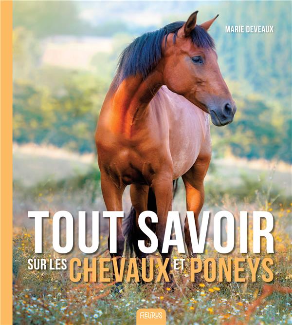 Tout savoir sur les chevaux et poneys - flash vidéo