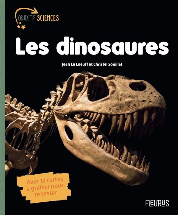 Les dinosaures - flash vidéo